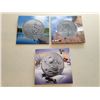 Image 1 : 3 X 2014 Fine Silver $20