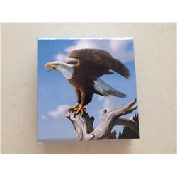 2014 Fine Silver $100