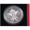 Image 2 : 2013 5oz Silver Maple Leaf