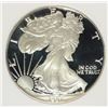 Image 2 : 1987-S AMERICAN SILVER EAGLE PCI GRADED PERFECT PROOF DCAM
