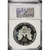 Image 4 : 1988-S AMERICAN SILVER EAGLE PCI GRADED PERFECT PROOF DCAM