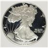 Image 2 : 1989-S AMERICAN SILVER EAGLE PCI GRADED PERFECT PROOF DCAM