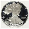 Image 2 : 1991-S AMERICAN SILVER EAGLE PCI GRADED PERFECT PROOF DCAM