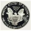 Image 3 : 1991-S AMERICAN SILVER EAGLE PCI GRADED PERFECT PROOF DCAM