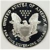 Image 3 : 1993-P AMERICAN SILVER EAGLE PCI GRADED PERFECT PROOF DCAM