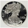 Image 2 : 2001-W AMERICAN SILVER EAGLE PCI GRADED PERFECT PROOF DCAM