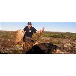 7 DAY MOOSE AND BLACK BEAR FOR 1 HUNTER  - NEWFOUNDLAND