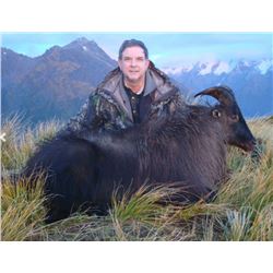 5 DAY RIFLE BULL TAHR HUNT - NEW ZEALAND