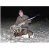 Image 3 : 3 DAY HUNTER'S CHOICE FOR TWO HUNTERS:  MOUFLON, AXIS, OR BLACKBUCK - MERTZON, WEST TEXAS