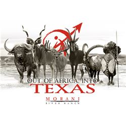 2 DAY AXIS DEER FOR 1 HUNTER/I OBSERVER - MORANI RIVER RANCH - TEXAS