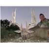 Image 2 : 2 DAY AXIS DEER FOR 1 HUNTER/I OBSERVER - MORANI RIVER RANCH - TEXAS