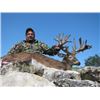 Image 3 : 2 DAY AXIS DEER FOR 1 HUNTER/I OBSERVER - MORANI RIVER RANCH - TEXAS