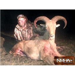 5 DAY FREE RANGE AOUDAD FOR 1 HUNTER - NEW MEXICO
