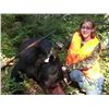 Image 2 : BLACK BEAR HUNT FOR ONE HUNTER & OBSERVER IN MICHIGAN