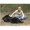 Image 3 : BLACK BEAR HUNT FOR ONE HUNTER & OBSERVER IN MICHIGAN