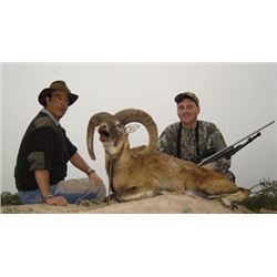 7 DAY 2 FERAL RAM/1 BOAR HUNT EACH FOR 2 HUNTERS - ARGENTINA