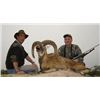 7 DAY 2 FERAL RAM/1 BOAR HUNT EACH FOR 2 HUNTERS - ARGENTINA