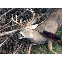 5 DAY/6 NIGHT FREE RANGE WHITETAIL 2 HUNTERS - NW NEBRASKA