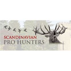 2 DAY WING SHOOTING/2 DAY SIGHTSEEING - SCANDINAVIA FOR 1 HUNTER/1 OBSERVER