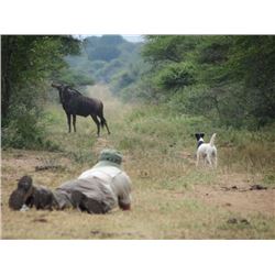 7 DAY PLAINS GAME SAFARI FOR 1 HUNTER/1 OBSERVER -  SOUTH AFRICA