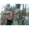 Image 3 : BOBCAT WITH HOUNDS IN MICHIGAN FOR 1 HUNTER/1 OBSERVER