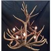 Image 1 : ELK SHED CHANDELIER