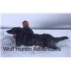 Image 1 : 6 DAY WOLF HUNT FOR 2 HUNTERS - NORTHERN ALBERTA