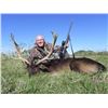 Image 2 : 4 DAY BLACKBUCK, FERAL RAM and WILD BOAR FOR 1 HUNTER - ARGENTINA