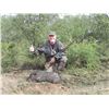 Image 6 : 4 DAY BLACKBUCK, FERAL RAM and WILD BOAR FOR 1 HUNTER - ARGENTINA