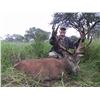 Image 8 : 4 DAY BLACKBUCK, FERAL RAM and WILD BOAR FOR 1 HUNTER - ARGENTINA