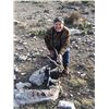 Image 9 : 4 DAY BLACKBUCK, FERAL RAM and WILD BOAR FOR 1 HUNTER - ARGENTINA