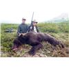 Image 3 : 7 DAY GRIZZLY OR BROWN BEAR HUNT FOR 1 HUNTER - ALASKA