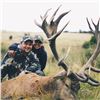 Image 4 : 5 DAY RED STAG HUNT - NEW ZEALAND FOR 1 HUNTER/ 1 OBSERVER INCLUDING A GLOBAL LOGISTICS  CLEARANCE P