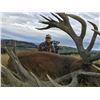 Image 5 : 5 DAY RED STAG HUNT - NEW ZEALAND FOR 1 HUNTER/ 1 OBSERVER INCLUDING A GLOBAL LOGISTICS  CLEARANCE P