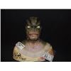Image 1 : QUEST THE RANA CHIEF HERO FULL HEAD SILICONE MASK ON BUST