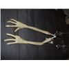 Image 1 : PAUL THE ALIEN SCREEN USED HERO ANIMATRONIC ARMS 9 FUNCTIONS EACH
