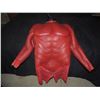 Image 1 : HELLBOY THE GOLDEN ARMY SCREEN USED HERO CHEST AND TORSO #4
