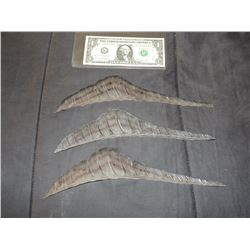 HELLBOY ABE SAPIAN PAINTED TORSO FINS LOT