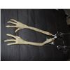 Image 1 : PAUL THE ALIEN SCREEN USED HERO ANIMATRONIC ARMS 9 FUNCTIONS EACH