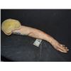 Image 3 : SEVERED ARMATURED SILICONE ARM WITH TATTOO AND CUTS