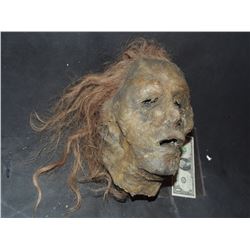 SEVERED ROTTEN BLOODY ZOMBIE HEAD B GRADE 08