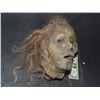 Image 1 : SEVERED ROTTEN BLOODY ZOMBIE HEAD B GRADE 08