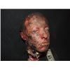 Image 1 : SEVERED ROTTEN BLOODY ZOMBIE HEAD B GRADE 17
