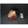 Image 2 : SEVERED ROTTEN BLOODY ZOMBIE HEAD B GRADE 19