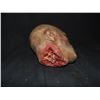 Image 2 : SEVERED ROTTEN BLOODY ZOMBIE HEAD B GRADE 21