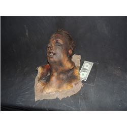 SEVERED ROTTEN BLOODY ZOMBIE HEAD B GRADE 25