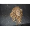 Image 1 : SEVERED ROTTEN BLOODY ZOMBIE HEAD A GRADE 55