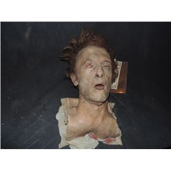 SEVERED ROTTEN BLOODY ZOMBIE HEAD A GRADE 56