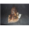 Image 1 : SEVERED ROTTEN BLOODY ZOMBIE HEAD B GRADE 52