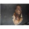 Image 2 : SEVERED ROTTEN BLOODY ZOMBIE HEAD B GRADE 52